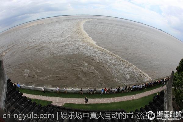 娱乐场中真人互动的市场潜力与商业模式分析