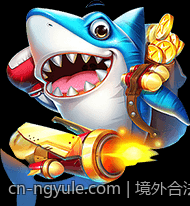 境外合法彩票多样玩法详尽解说