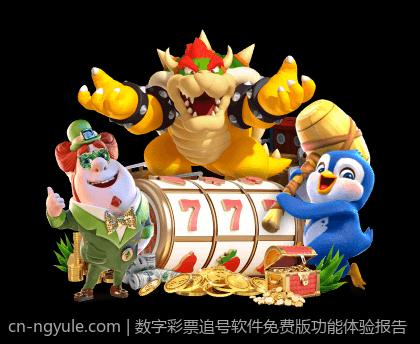 数字彩票追号软件免费版功能体验报告