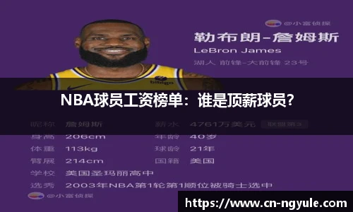 NBA球员工资榜单：谁是顶薪球员？