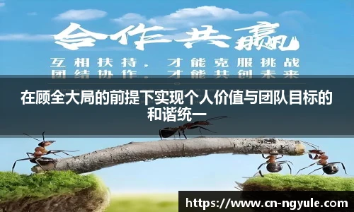 NG娱乐平台