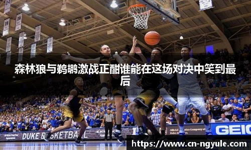 NG娱乐平台