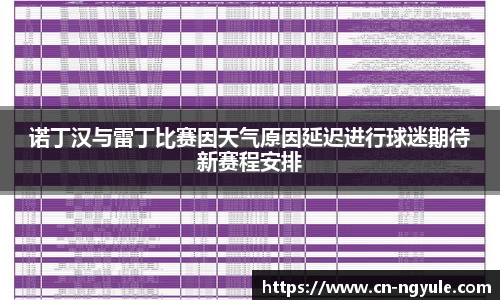 诺丁汉与雷丁比赛因天气原因延迟进行球迷期待新赛程安排